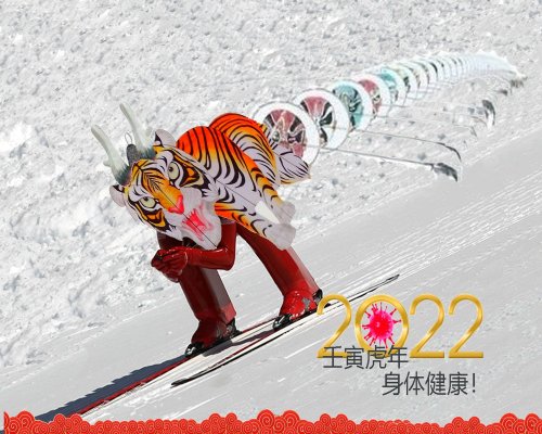 Year of the
                            Tiger 2022
