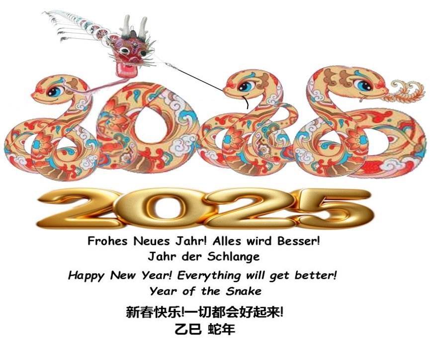 Year of the
                              Snake 2025