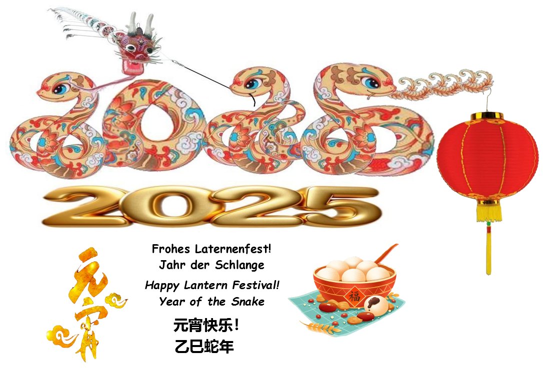 YuanXiaoJie 2025