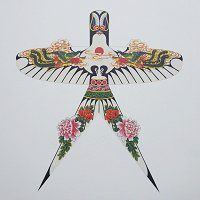 Schlanke Schwalbe
                  / Slender Swallow