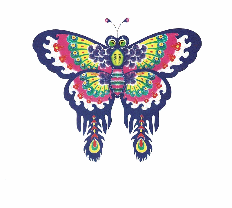 Butterfly Kite and Kite Frame