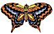 Braunblauer Schmetterling (WeiFang) /
                              Brown Blue Butterfly (WeiFang)