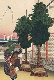 Kadomatsu Pine