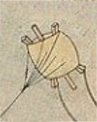 Kite-Spool Kite