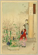 GEKKO, The Beauty and the Flower
                            Seller